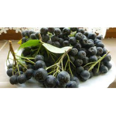 Dulceață de aronia Dulceață de aronia